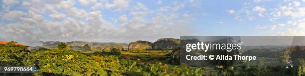 viñales valley cuba - viñales vallei stockfoto's en -beelden