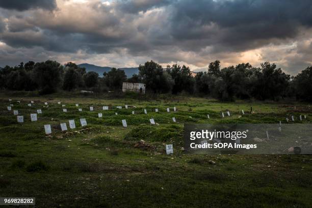 Outside of the village of Panagiouta in a private olives field its set the refugee cemetery of Lesbos. More than 90 people have been buried here...