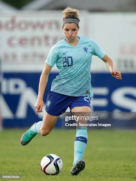 Dominique Janssen of Holland Women during the World Cup Qualifier Women match between Northern Ireland v Holland at the Shamrock Park on June 8, 2018...