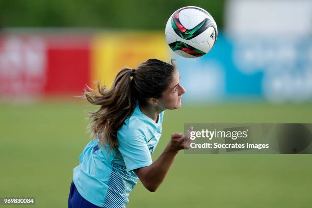 Danielle van de Donk of Holland Women during the World Cup Qualifier Women match between Northern Ireland v Holland at the Shamrock Park on June 8,...