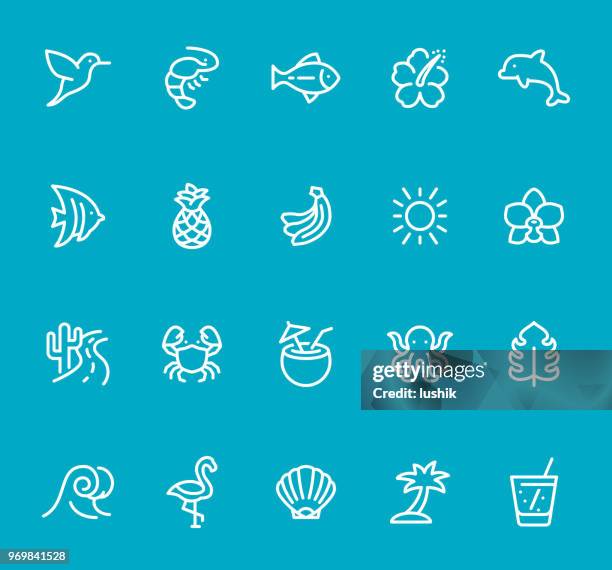 tropical summer - line icon set - butterflyfish stock illustrations