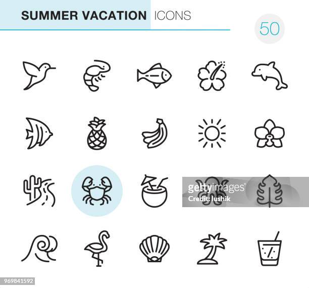 ilustraciones, imágenes clip art, dibujos animados e iconos de stock de vacaciones de verano - los perfectos iconos pixel - butterflyfish