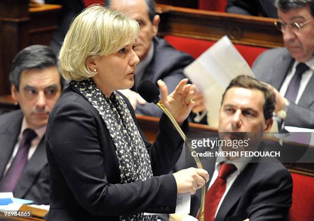 French Junior Minister for Family and Solidarity Nadine Morano delivers a speech during the session of questions to the government, on February 23,...
