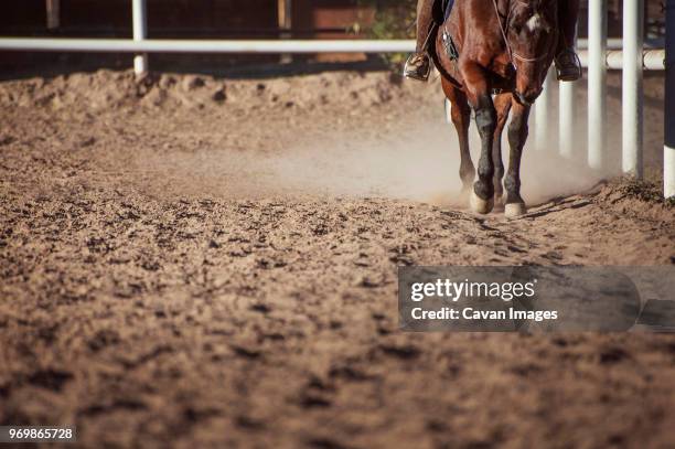 low section of woman riding horse on field at ranch - low rider bildbanksfoton och bilder