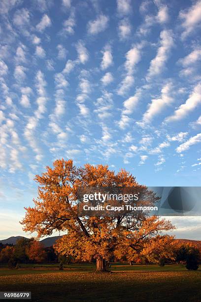 new hampshire fall - white mountains new hampshire stock pictures, royalty-free photos & images