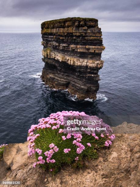 downpatrick head, county mayo, connacht province, ireland, europe - county mayo ストックフォトと画像