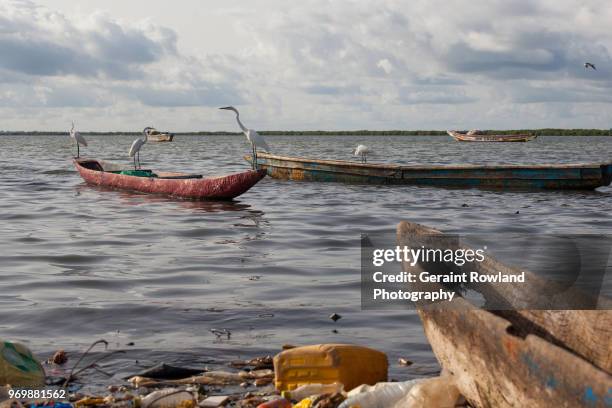 down on the river, senegal - geraint rowland stock pictures, royalty-free photos & images