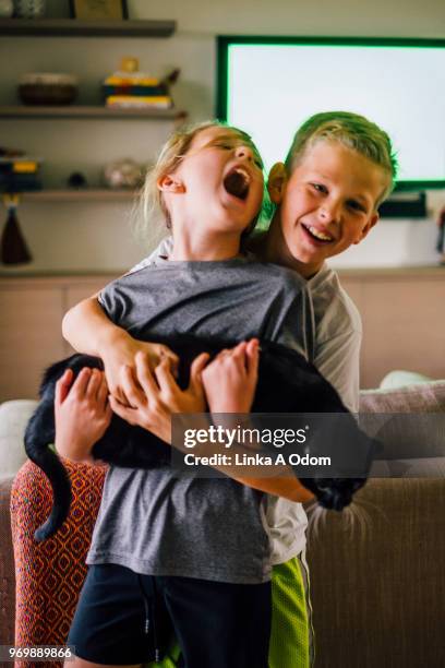 two siblings rough housing while holding a domestic cat - girls wrestling stockfoto's en -beelden