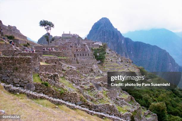 overview of machu picchu - berg huayna picchu stock-fotos und bilder