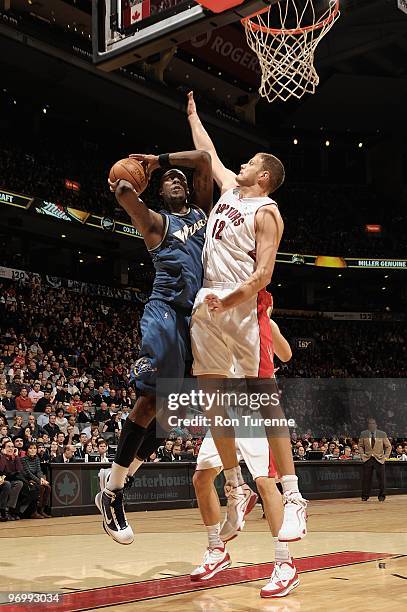 Andray Blatche of the Washington Wizards goes to the basket against Rasho Nesterovic of the Toronto Raptors during the game on February 20, 2010 at...