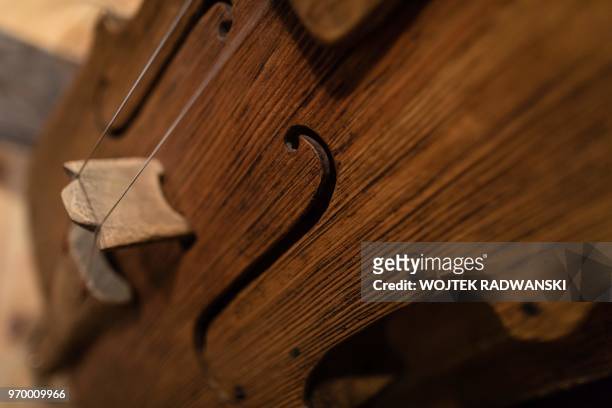 Kalisz bass is pictured on May 10, 2018 at a workshop in the village of Kamiensko, just north of the western Polish city of Poznan. - The far cousin...