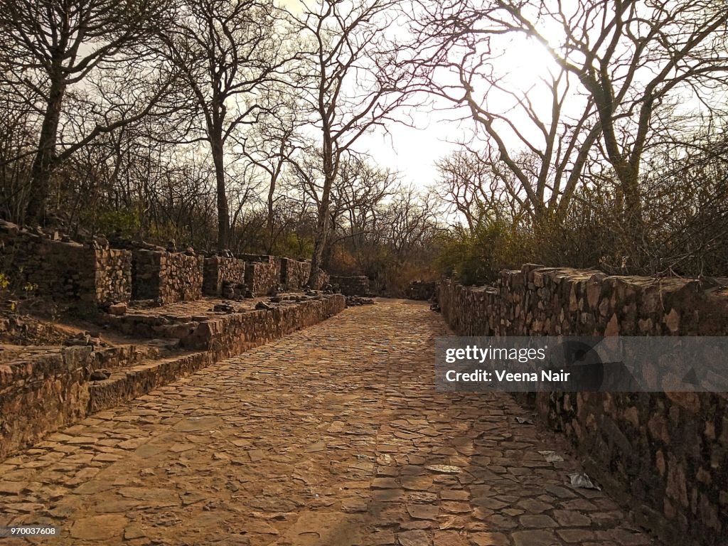 Ranthambore Fort/UNESCO World Heritage Site/Rajasthan