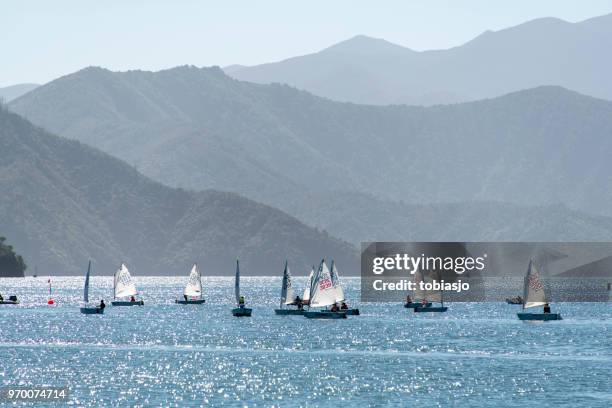 boat competition - sculling crew stock pictures, royalty-free photos & images