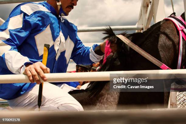 cropped image of man sitting on horse at competition - jockey stock-fotos und bilder