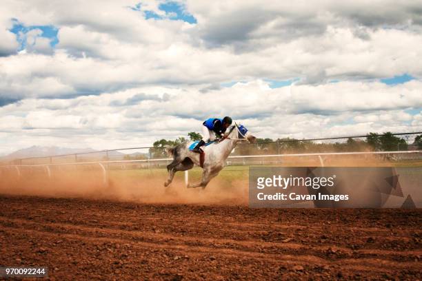 side view of jockey riding horse at competition - jockey stock-fotos und bilder
