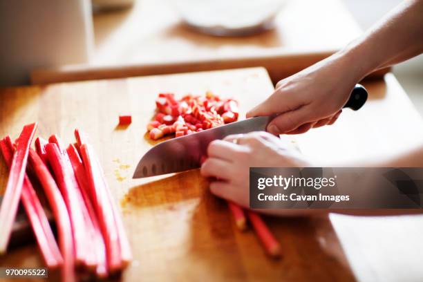 cropped image of hands cutting rhubarb - rabarber stockfoto's en -beelden