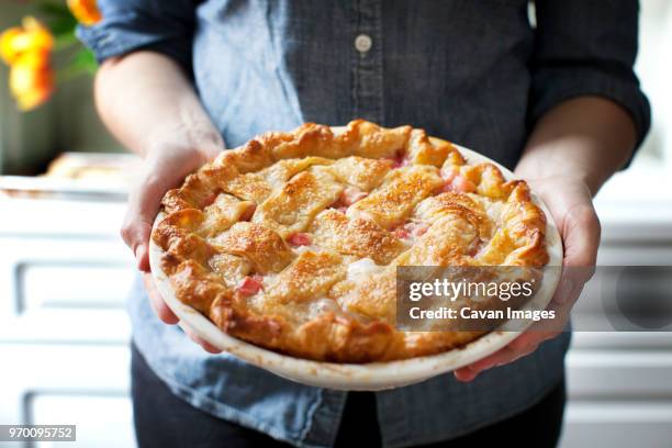 midsection of woman holding baked rhubarb pie while standing at home - rhubarb photos et images de collection