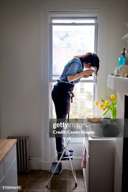 side view of woman photographing pie while standing on step ladder - step stool stock pictures, royalty-free photos & images