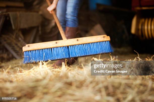 low section of woman sweeping stable - vegen stockfoto's en -beelden