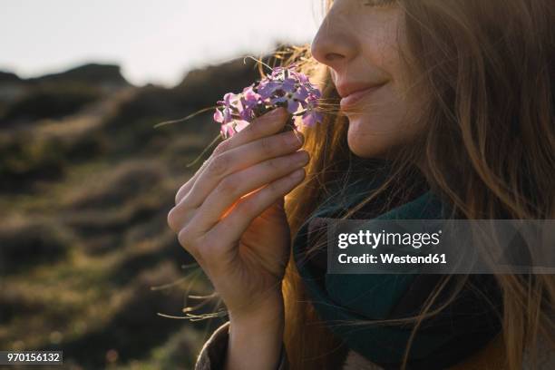 woman enjoying fragrance of a flower - aroma foto e immagini stock