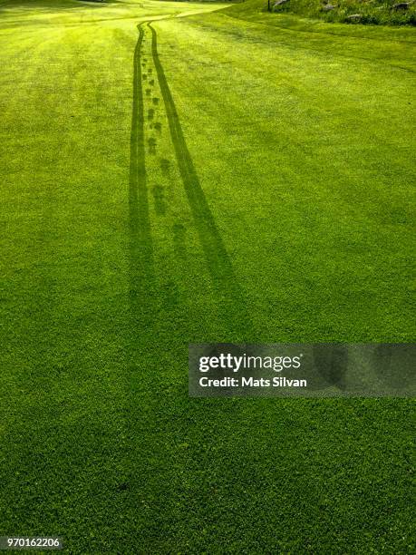 wet tracks on golf course - creative pitch stock pictures, royalty-free photos & images