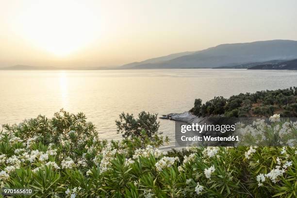 greece, thessalia, lefokastro - pelion stock-fotos und bilder