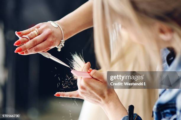 close-up of hairdresser cutting woman's hair - frisör bildbanksfoton och bilder