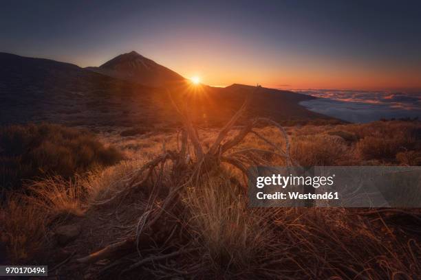 spain, canary islands, tenerife, teide national park at sunset - el teide national park stock-fotos und bilder