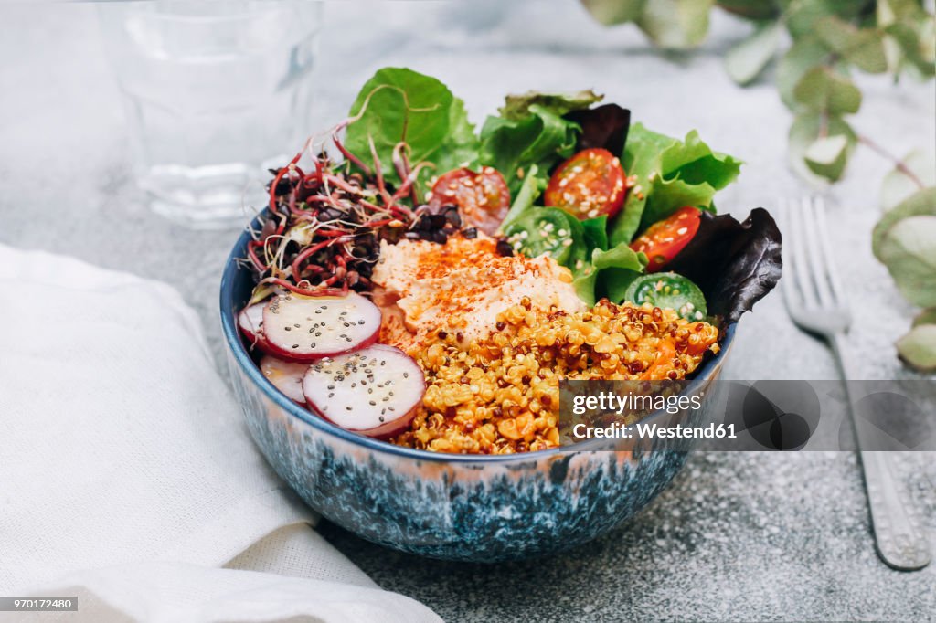 Vegan buddha bowl with hummus, quinoa with curry, lettuce, sprouts, green and red cherry tomatoes, sliced radish and sesame and poppy seeds