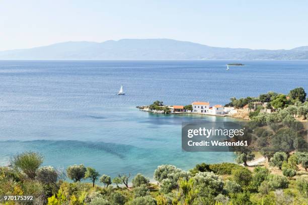 greece, pelion, pagasetic gulf - pelion stock-fotos und bilder