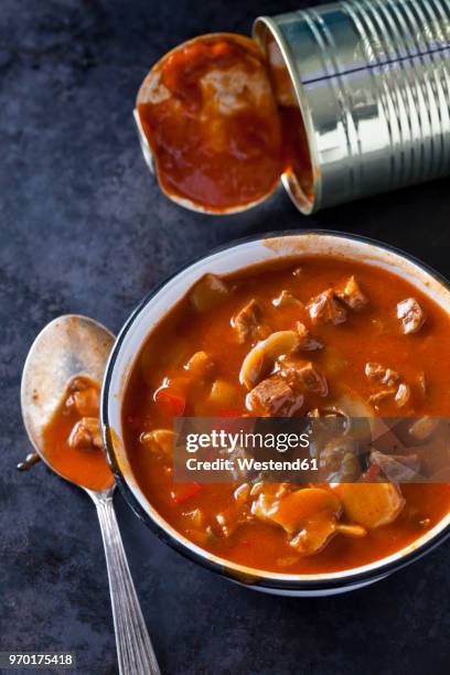 bowl of hungarian goulash soup - canned goods stock-fotos und bilder