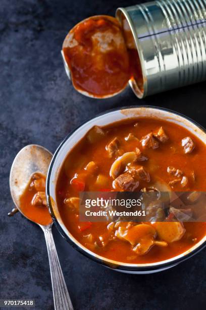 bowl of hungarian goulash soup - soup on spoon stock pictures, royalty-free photos & images