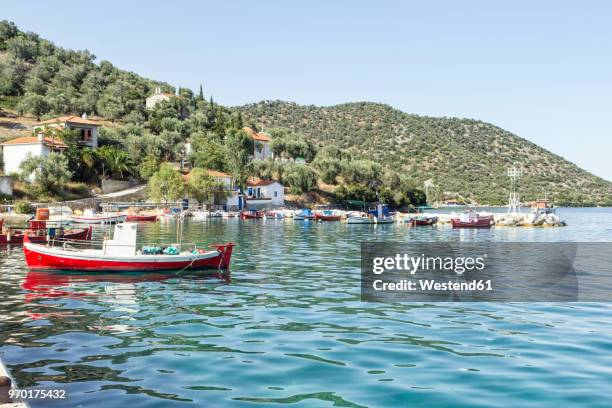 greece, pelion, pagasetic gulf, kottes, fishing boat at harbour - pelion fotografías e imágenes de stock