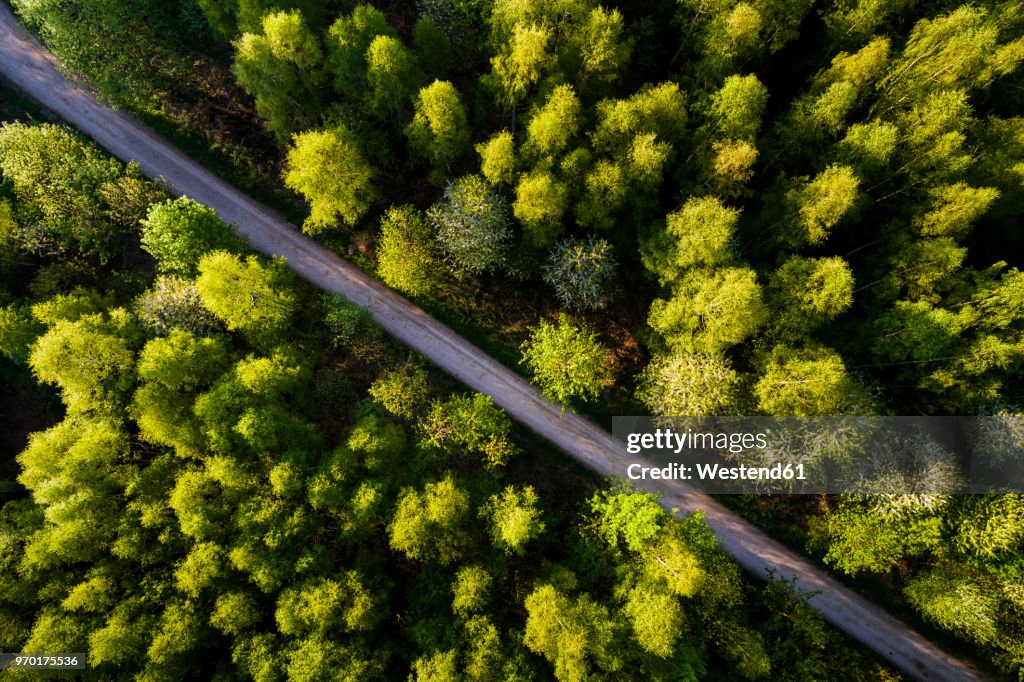 Germany, Baden-Wuerttemberg, Swabian Alb, Fils Valley, Aerial view of Schurwald in spring