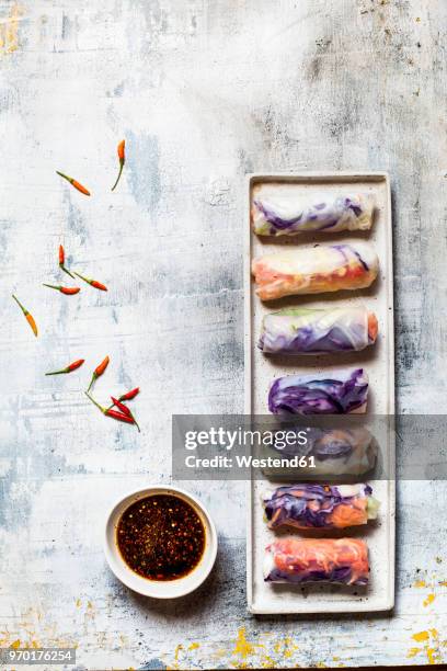 vegan rice paper wraps (vietnamese summer rolls), filled with cabbage, carrots, bell pepper, rice noodles, and dipping sauce - spring rolls stock pictures, royalty-free photos & images