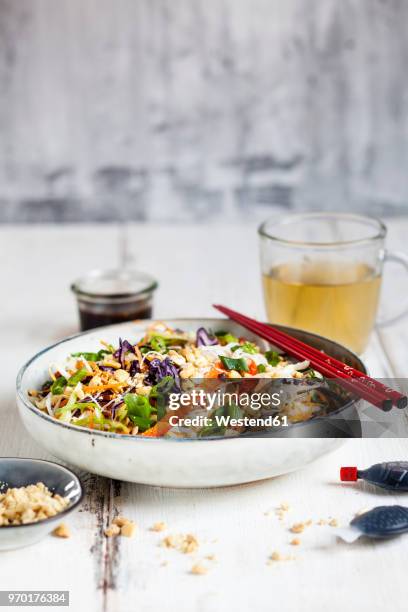 salad with glas noodles, cabbage, carrots, bell peppers, spring onions, peanuts and hot thai dressing - soy dressing stock pictures, royalty-free photos & images