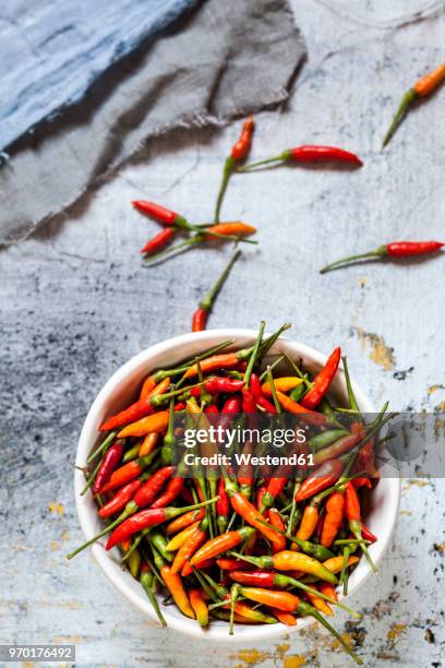 a bowl with chilis, capsicum annuum - bowl of chili stock-fotos und bilder