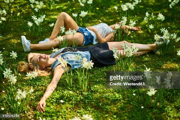 two friends relaxing on flower meadow - liegen stock-fotos und bilder