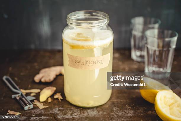 switchel, homemade drink with ginger, apple vinegar, honey and lemon - ginger glasses stock-fotos und bilder