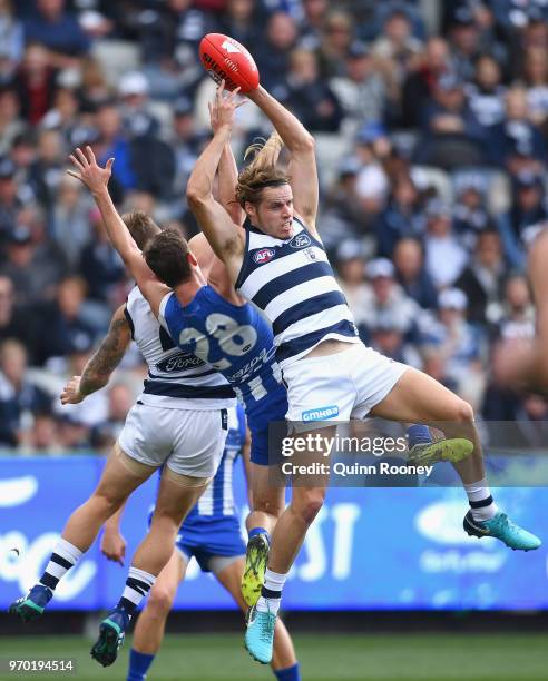 Jake Kolodjashnij of the Cats marks during the round 12 AFL match between the Geelong Cats and the North Melbourne Kangaroos at GMHBA Stadium on June...