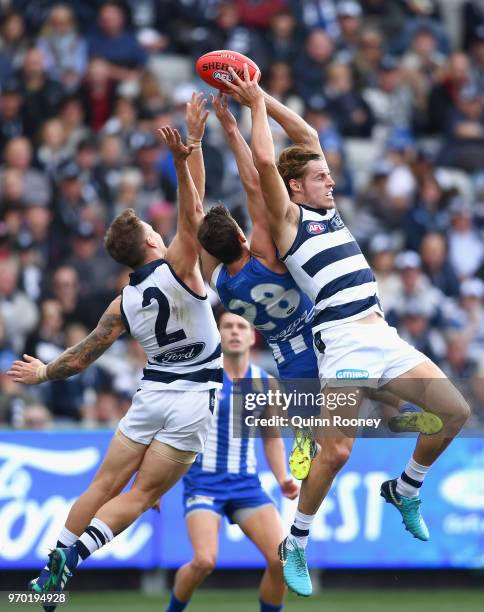 Jake Kolodjashnij of the Cats marks during the round 12 AFL match between the Geelong Cats and the North Melbourne Kangaroos at GMHBA Stadium on June...