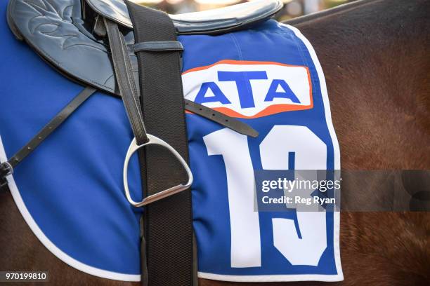 Horses in the mounting yard before the TAB/ATA Celebrates Women Trainers Handicap at Flemington Racecourse on June 09, 2018 in Flemington, Australia.