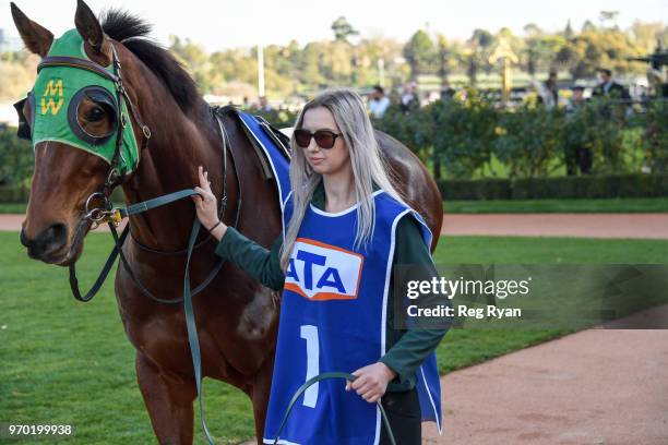 Horses in the mounting yard before the TAB/ATA Celebrates Women Trainers Handicap at Flemington Racecourse on June 09, 2018 in Flemington, Australia.