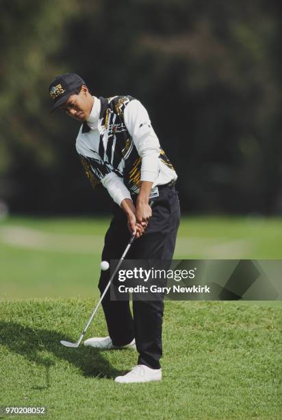 Tiger Woods of the United States chips onto the green during the Nissan Los Angeles Open golf tournament on 26 February 1993 at the Riviera Country...