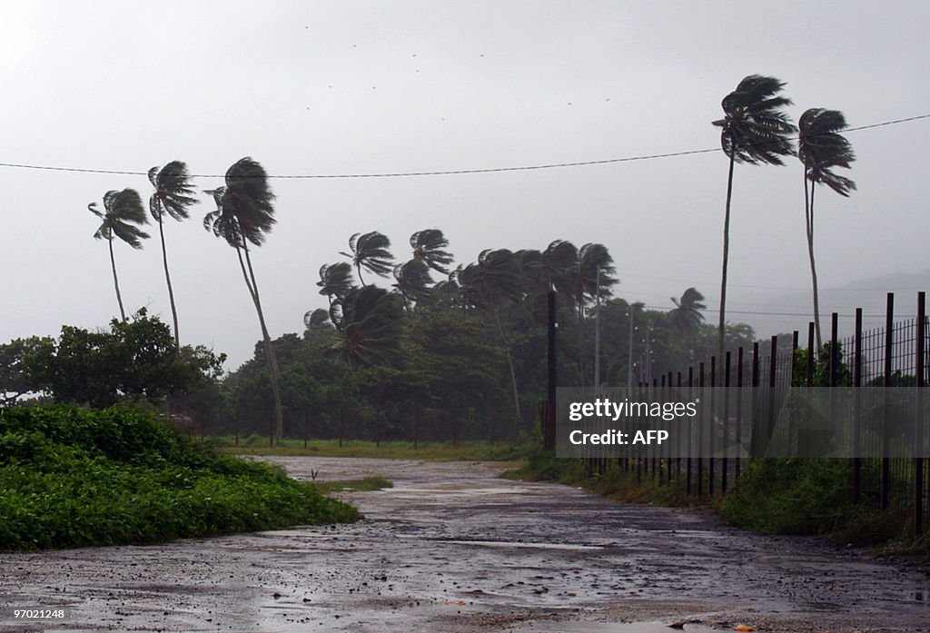 The wind blows into trees on February 4,