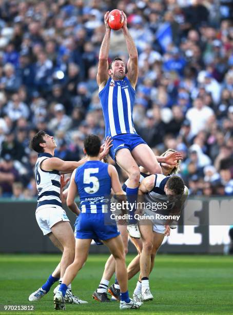 Todd Goldstein of the Kangaroos marks over the top of Jordan Murdoch of the Cats during the round 12 AFL match between the Geelong Cats and the North...