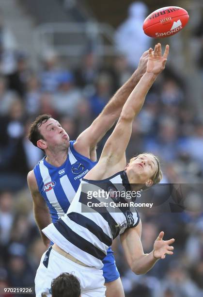 Todd Goldstein of the Kangaroos and Rhys Stanley of the Cats compete in the ruck during the round 12 AFL match between the Geelong Cats and the North...