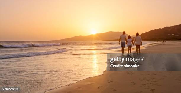 family walking on the beach - distant family stock pictures, royalty-free photos & images