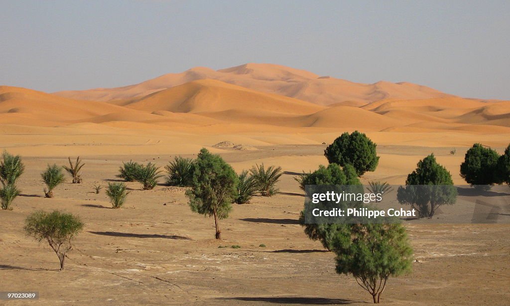 Dunes of Merzouga