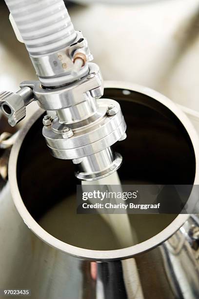 transfering fresh sheep milk into container - transfering stock pictures, royalty-free photos & images